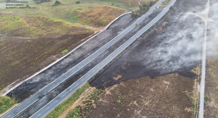 120 firefighters tackle A31 heath fire