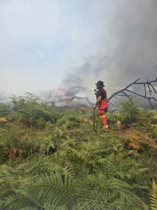 a31-fire-540x720.jpeg